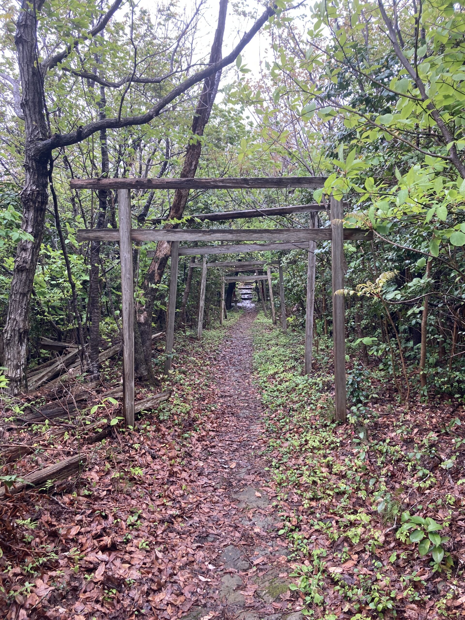 佐渡のタヌキの親分「団三郎狸」を祀る神社
